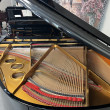 2002 Ritmüller 5'3 baby grand, polished ebony - Grand Pianos